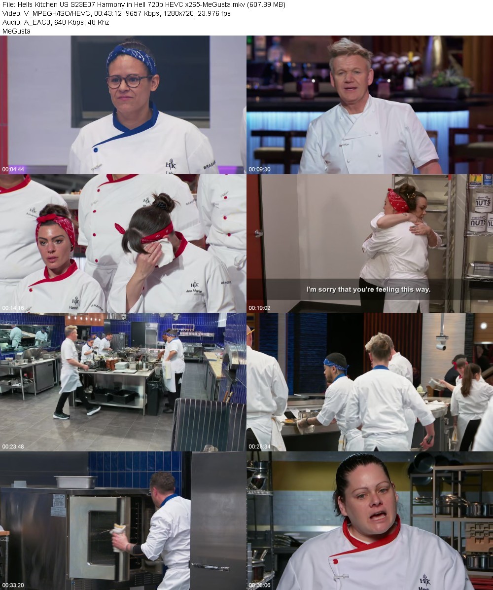 Hells Kitchen US S23E07 Harmony in Hell 720p HEVC x265-MeGusta