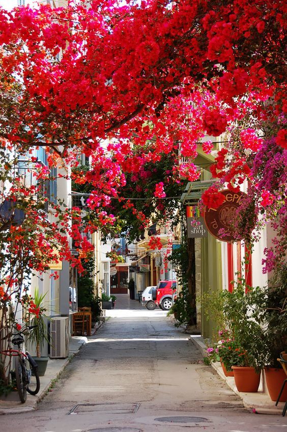 Rue aux mille fleurs