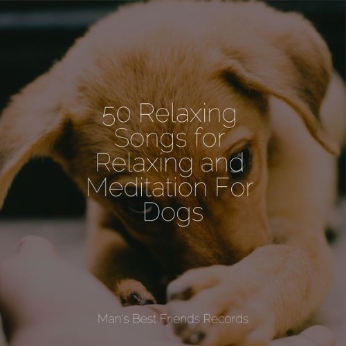 Sleeping Music For Dogs - 50 Relaxing Songs for Relaxing and Meditation For Dogs - 2022