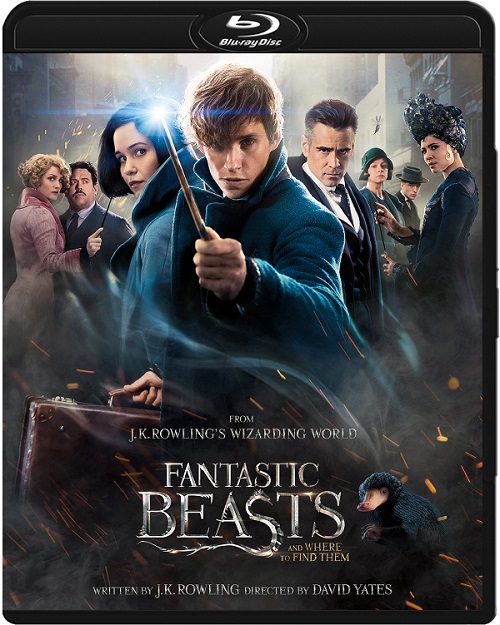 Fantastyczne zwierzęta i jak je znaleźć / Fantastic Beasts and Where to Find Them (2016)  PLDUB.1080p.BluRay.DD5.1.x264-CoLO /  Dubbing PL
