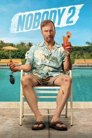 Nobody 2 2025 720p 1080p 4K WEBRip