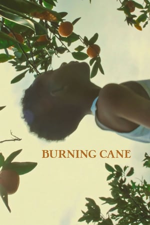 Burning Cane 2019 HDRip AC3 x264-CMRG