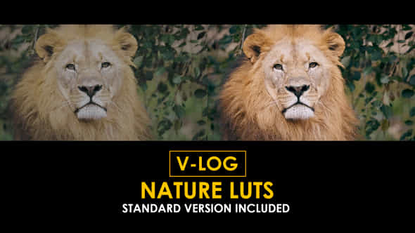 Vlog Nature And Standard Luts - VideoHive 51434363