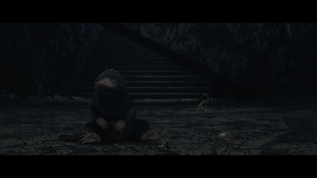 Fantastic Beasts The Secrets of Dumbledore 2022 2160p HMAX WEB-DL DDP5 1 Atmos HDR HEVC-EVO Fantastic Beasts The Secrets of Dumbledore 2022 2160p HMAX WEB-DL DDP5 1 Atmos HDR HEVC-EVO