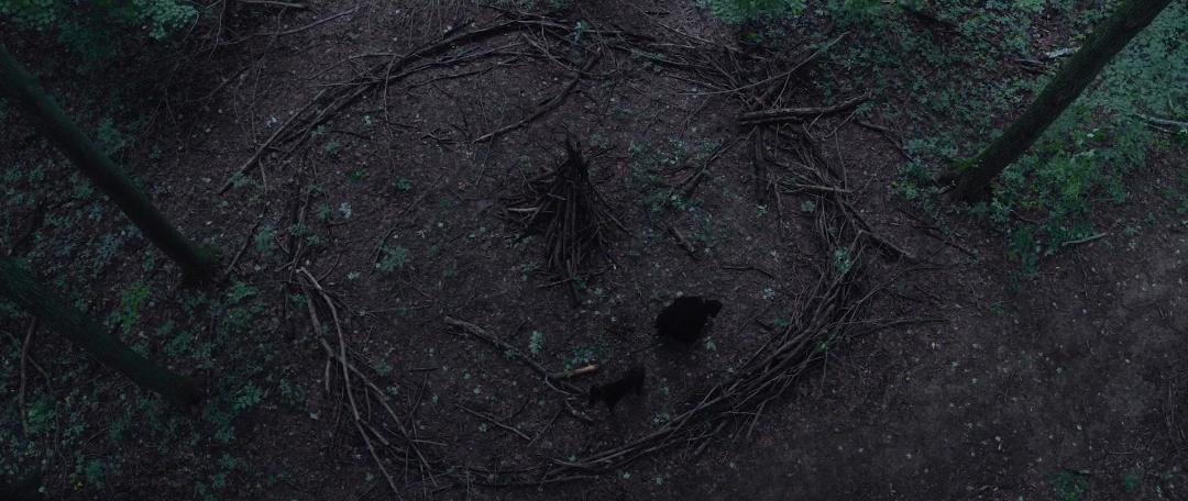 Evil Takes Root The Curse of the Batibat 2020 1080p WEB-DL DD5 1 H 264-EVO Evil Takes Root The Curse of the Batibat 2020 1080p WEB-DL DD5 1 H 264-EVO