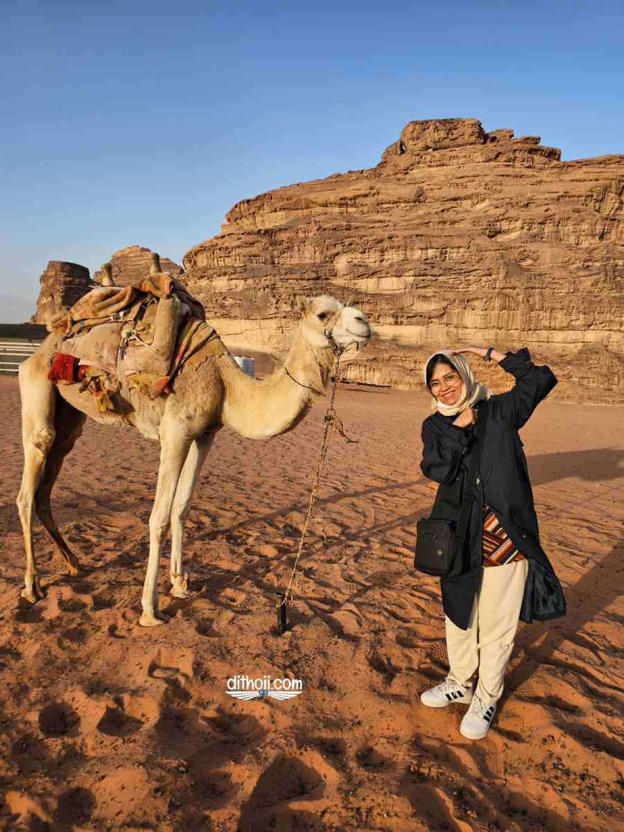 Từ Đông sang Xuân, mình lên đường đi du lịch Ai Cập, Jordan (Phần 1) 2 1