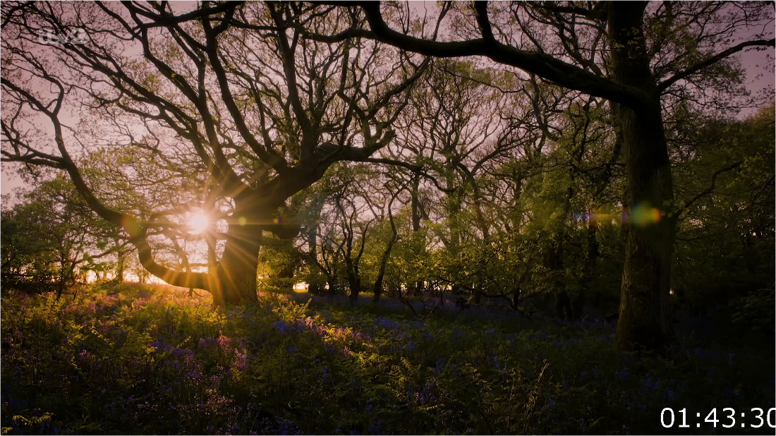 ITV Unwind Isles Of Scilly [1080p] HDTV (x265) HzN3vg5g_o