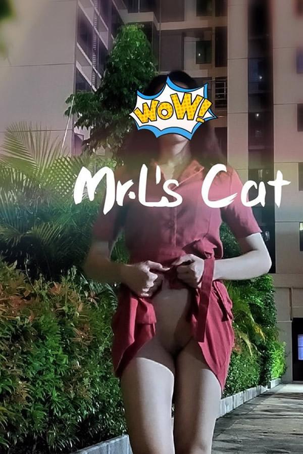 推特小姐姐网红Mr.Ls Cat无圣光私拍合集(25)