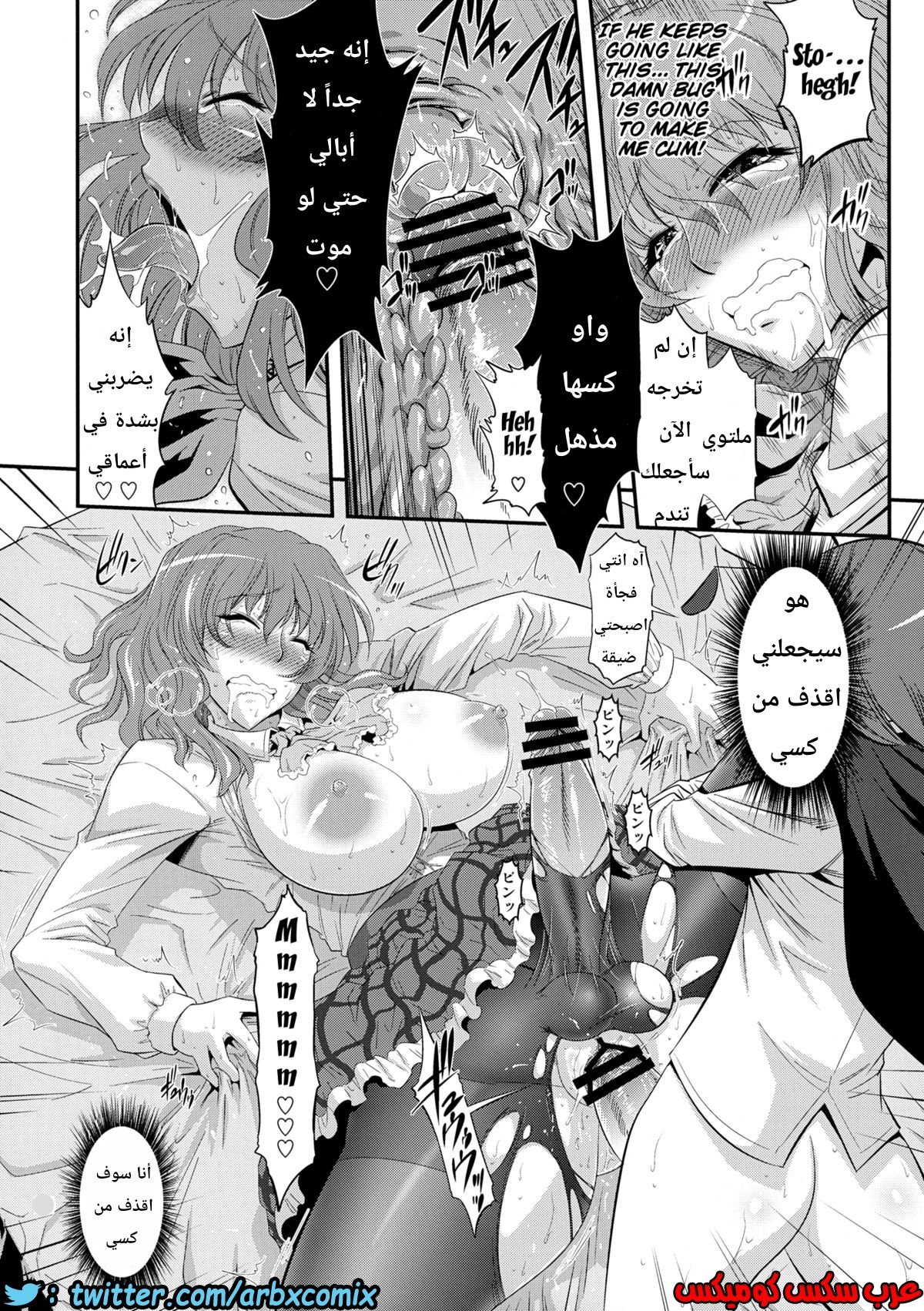574 اجمل عقاب