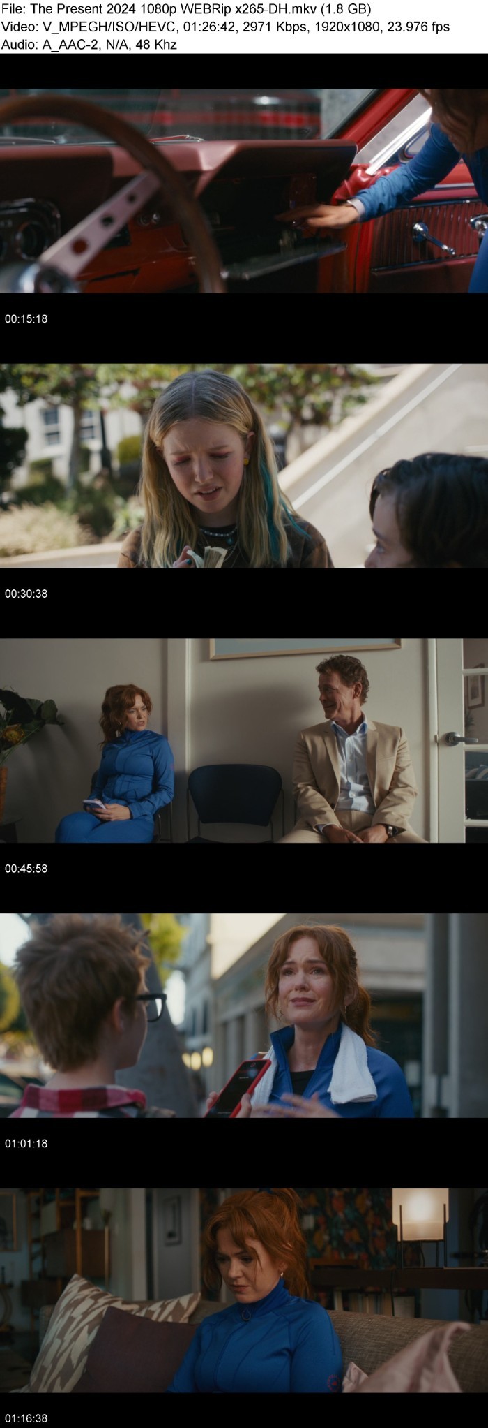 The Present (2024) 1080p WEBRip x265-DH FfWhosUZ_o