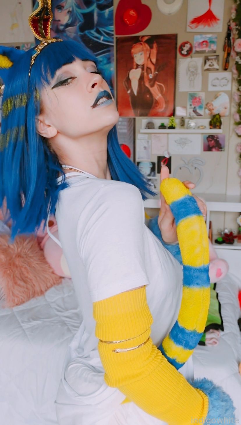 Indigo White - Ankha