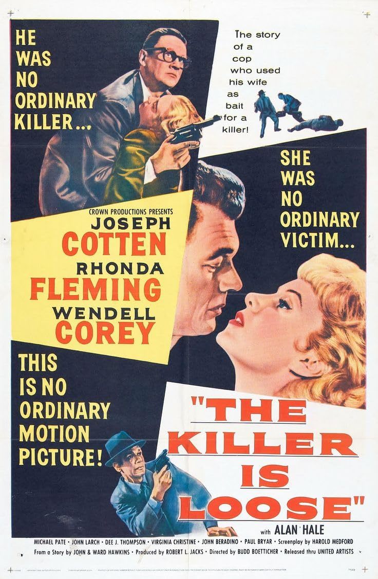 the killer is loose poster