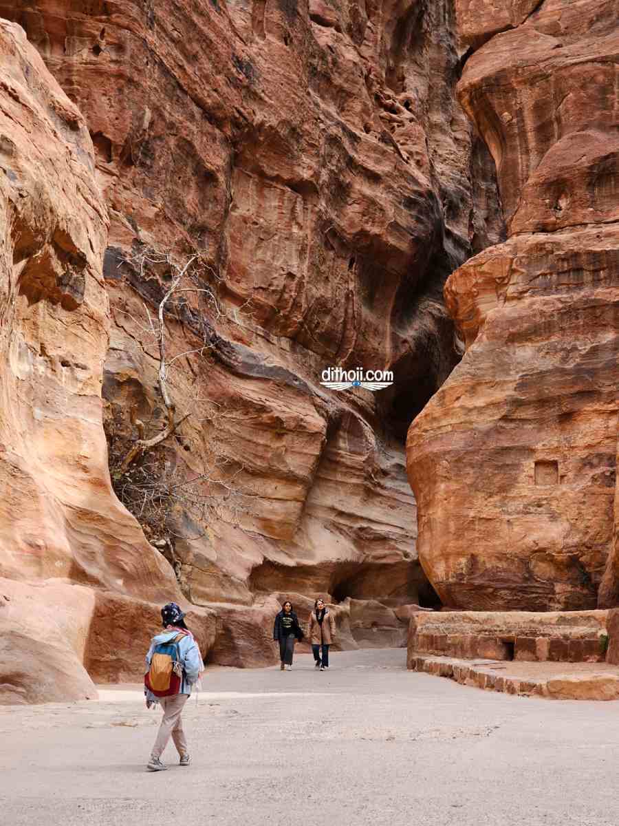 Từ Đông sang Xuân, mình lên đường đi du lịch Ai Cập, Jordan (Phần 1) 7 Petra jordan