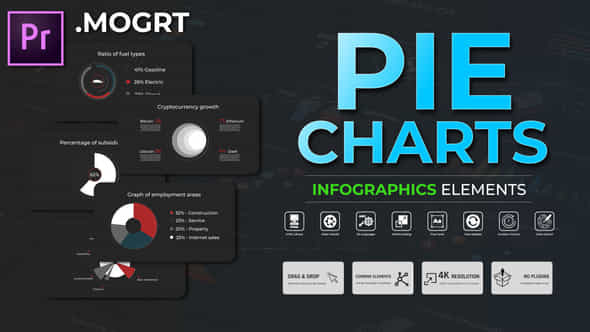 Infographic Pie Charts Mogrt - VideoHive 51480898