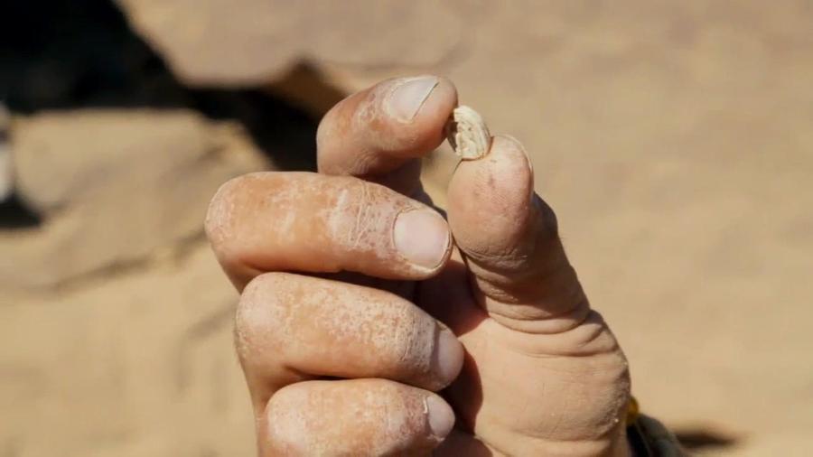 Lost Treasures of Egypt S02E01 Secrets of Tutankhamun 720p WEBRip x264-CAFFEiNE Lost Treasures of Egypt S02E01 Secrets of Tutankhamun 720p WEBRip x264-CAFFEiNE