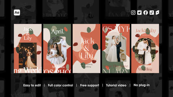 Marriage Instagram Stories - VideoHive 48542669