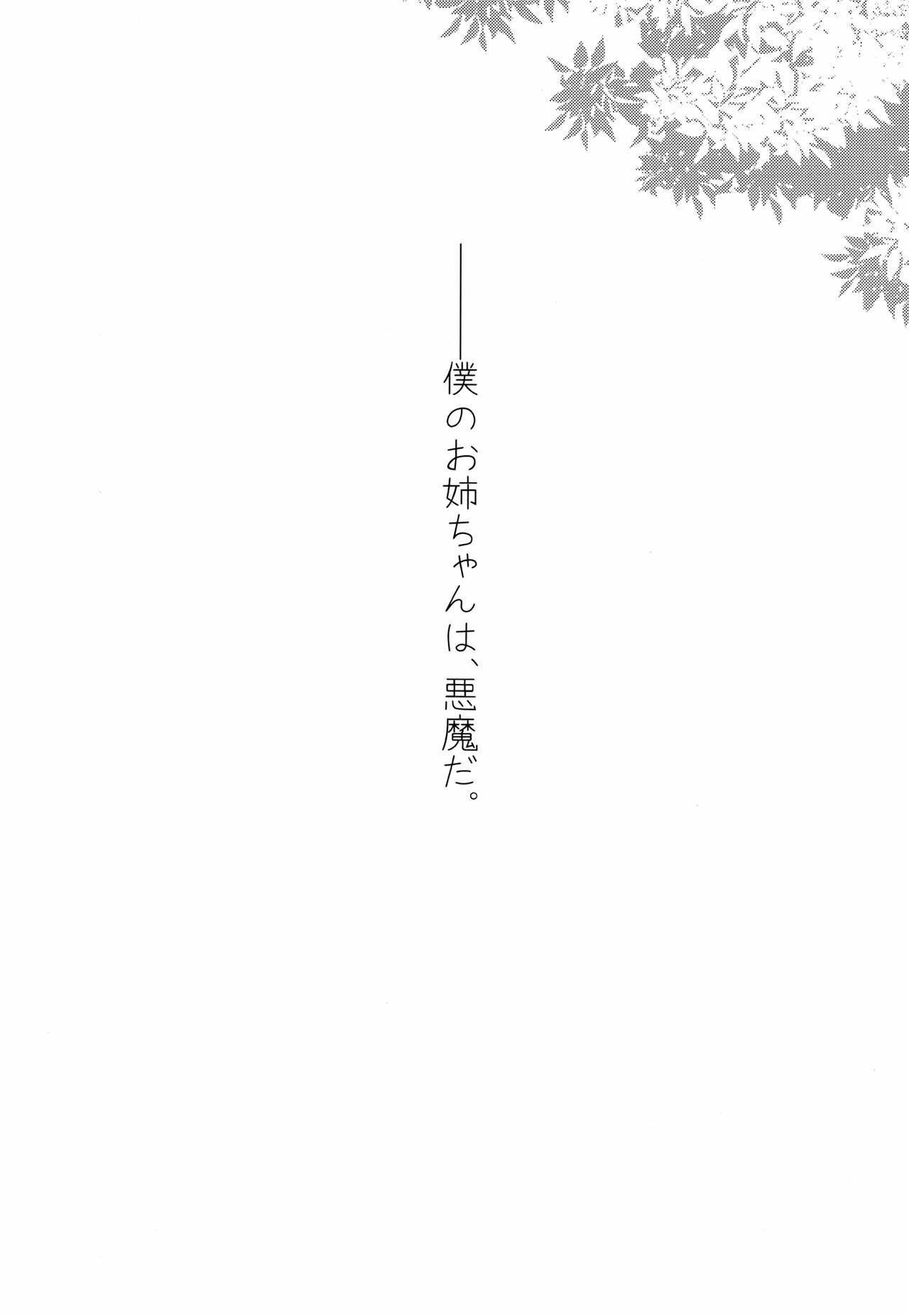 Ane Naru Mono Zenshuu 1 4-5 Ane Naru Mono Complete Works 1 4-5 - 1