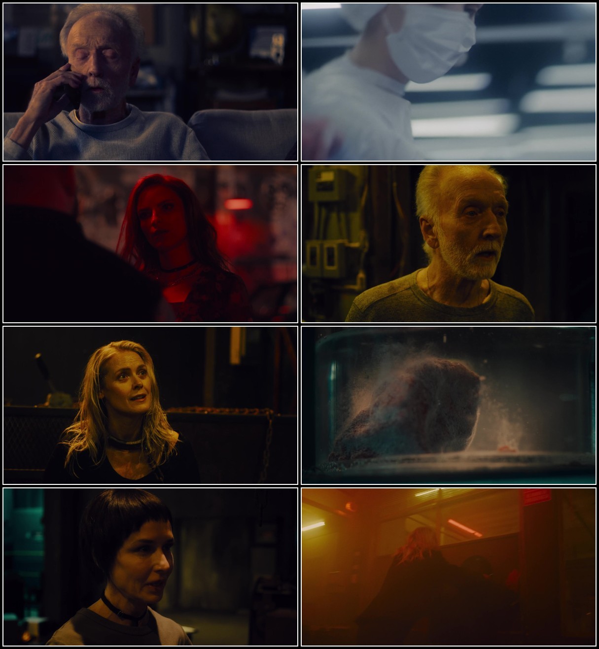 Saw X (2023) 1080p WEB-DL x264 6CH Dual YG Rwe6A7lM_o