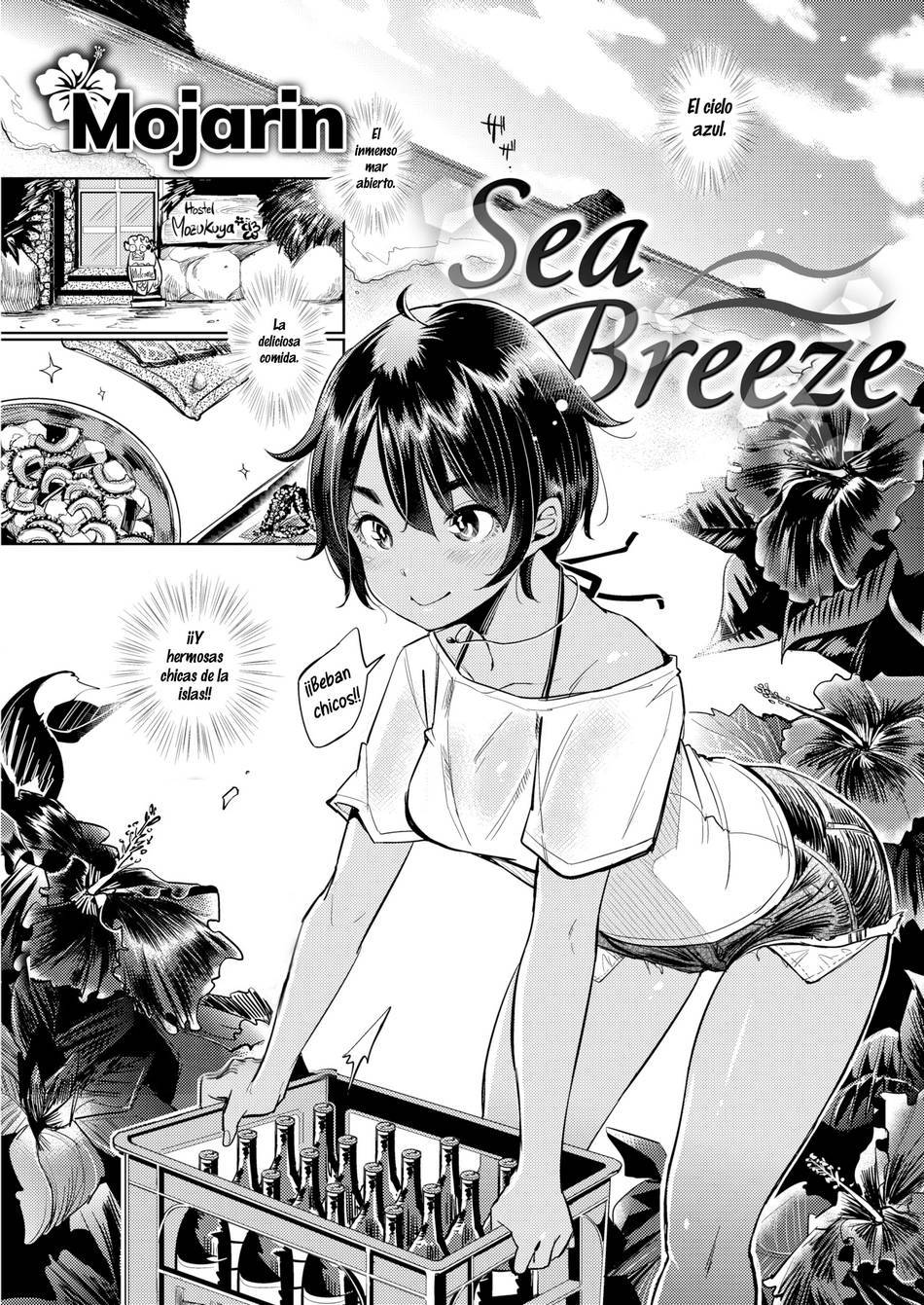 Sea Breeze - Page #1