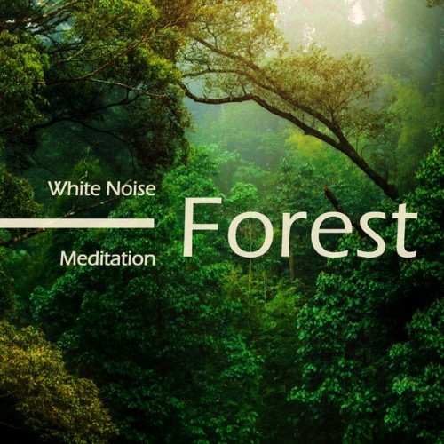 Noble Music Relaxing - White Noise Meditation Forest Sounds ASMR - 2022
