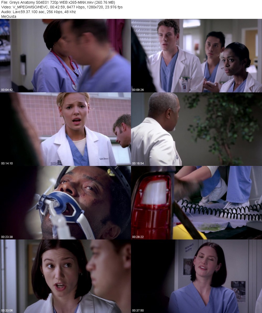 Greys Anatomy S04E01 720p WEB x265-MiNX