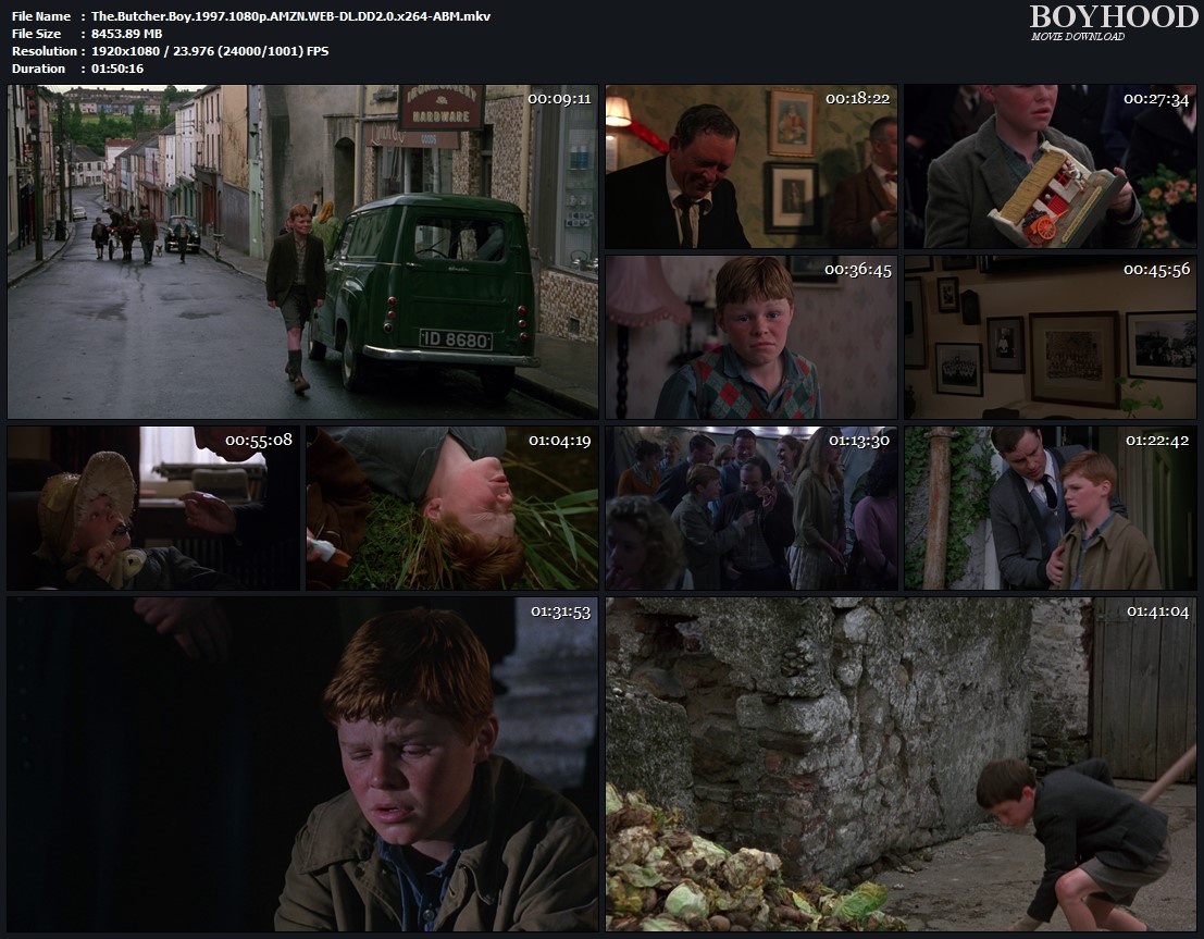 The Butcher Boy 1997