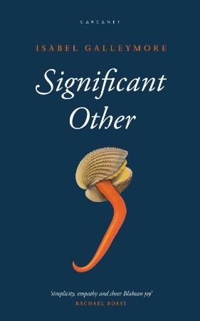 Significant Other By Isabel Galleymore