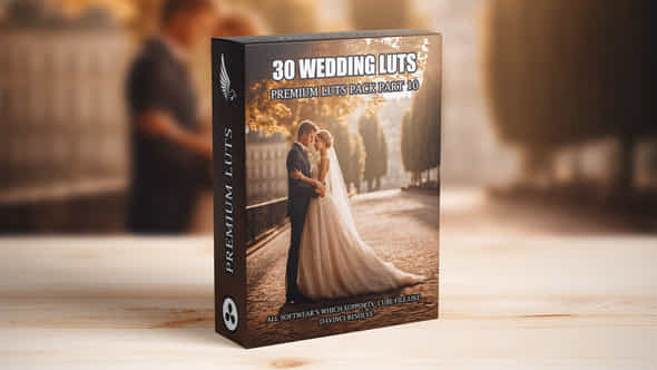 Top 30 Professional Cinematic Wedding Luts For Wedding Filmmakers Part 10 - VideoHive 49662165