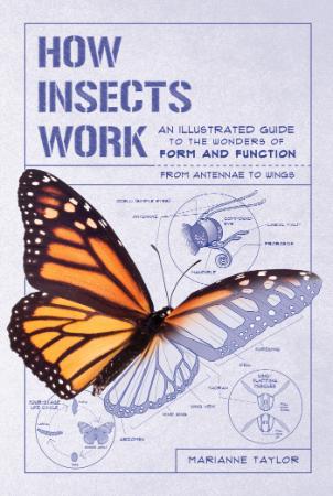 How Insects Works