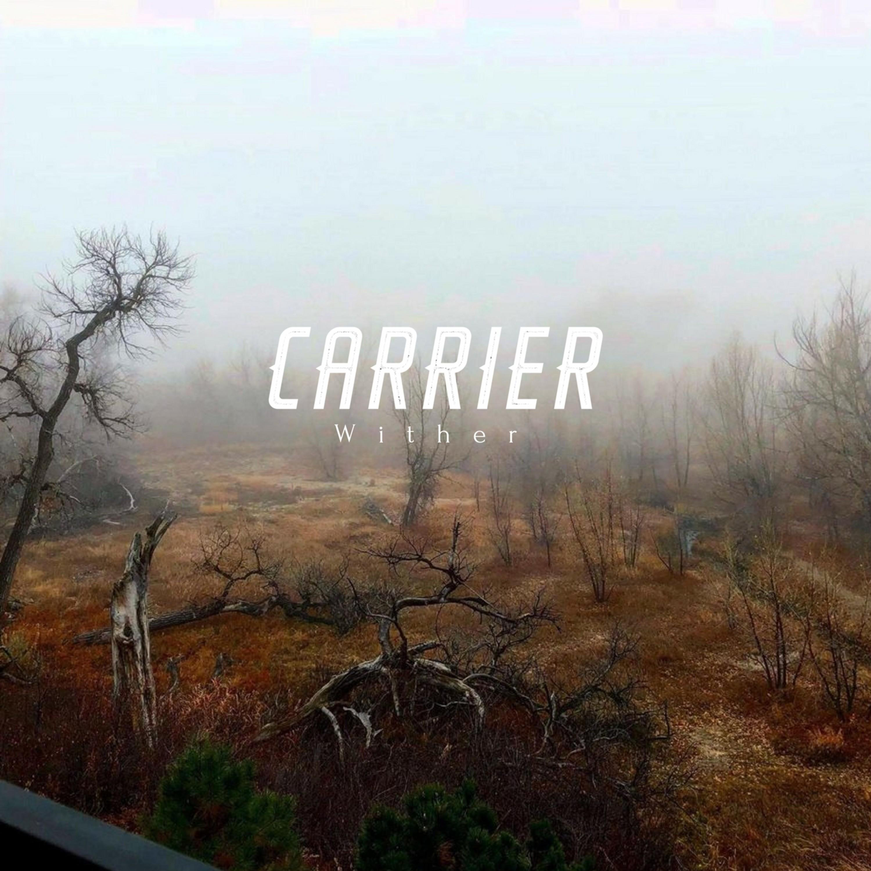 Carrier - Wither [EP] (2018) HCq1MqK6_o