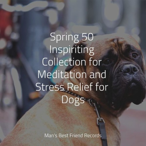 Calm Doggy - Spring 50 Inspiriting Collection for Meditation and Stress Relief for Dogs - 2022