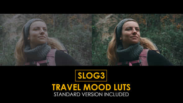 Slog3 Travel Mood And Standard Color Luts - VideoHive 48789680