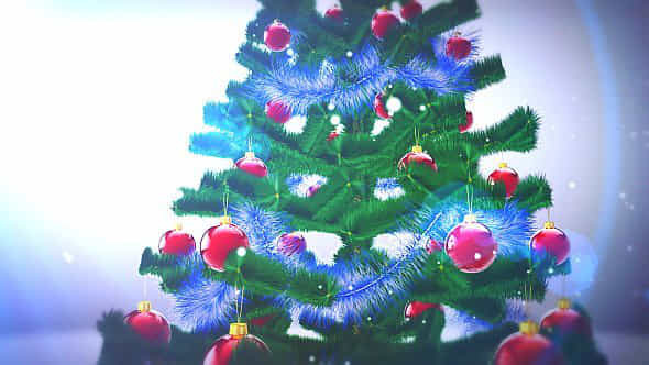 Real Christmas Tree - VideoHive 3572849