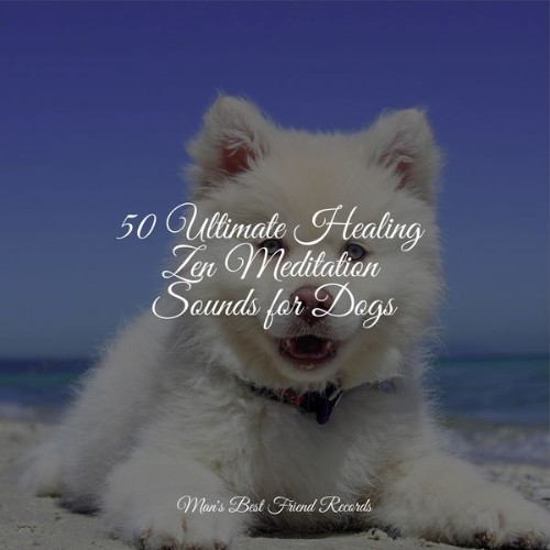 Relaxation Music For Dogs - 50 Ultimate Healing Zen Meditation Sounds for Dogs - 2022