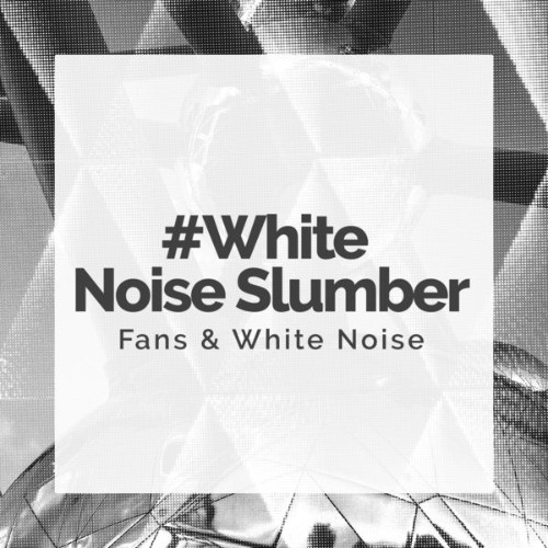 Fans & White Noise - #White Noise Slumber - 2019