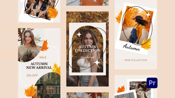 Autumn Sale Instagram - VideoHive 33812640