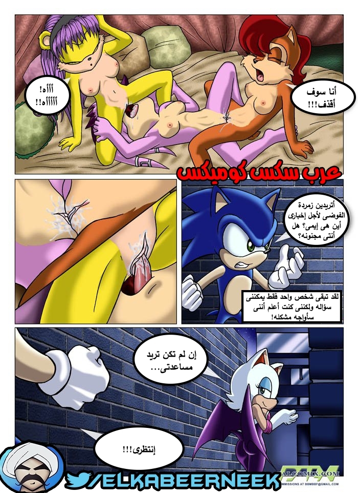 315 سونيك والبحث عن إيمى