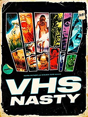 VHS Nasty 2019 WEBRip x264 ION10