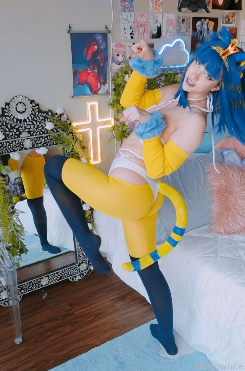 Indigo White - Ankha