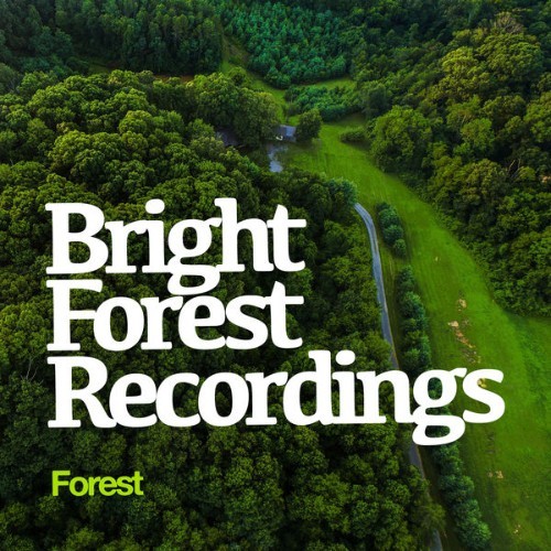 Forest - Bright Forest Recordings - 2019