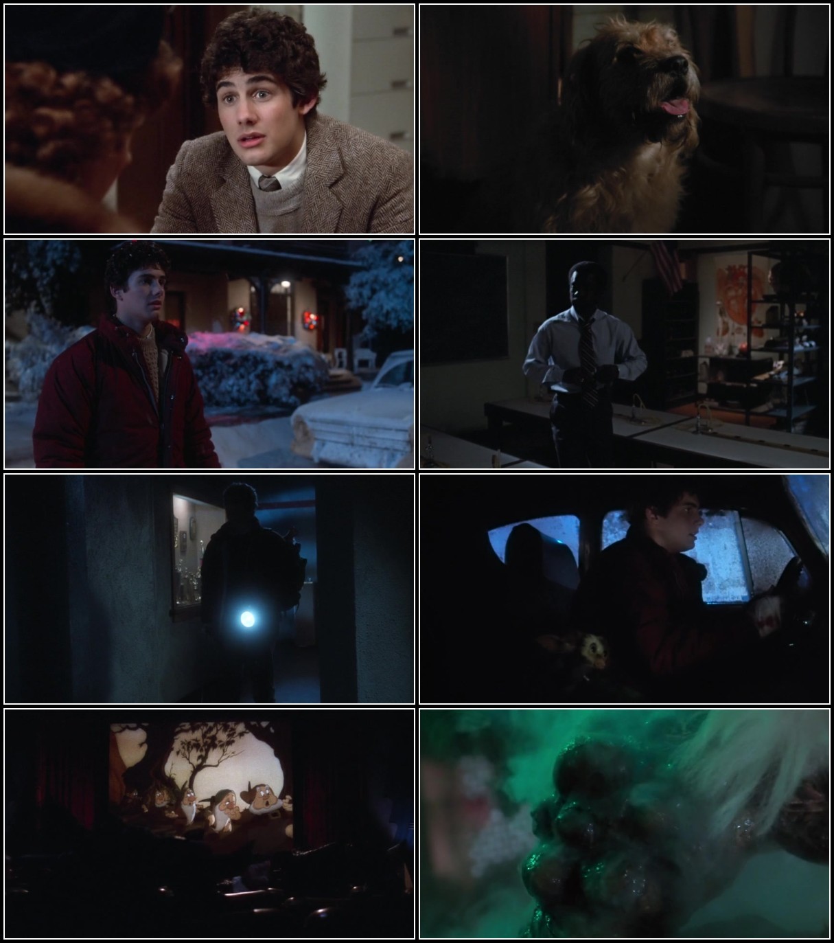 Gremlins (1984) PTV WEB-DL AAC 2 0 H 264-PiRaTeS 7voFwmxx_o