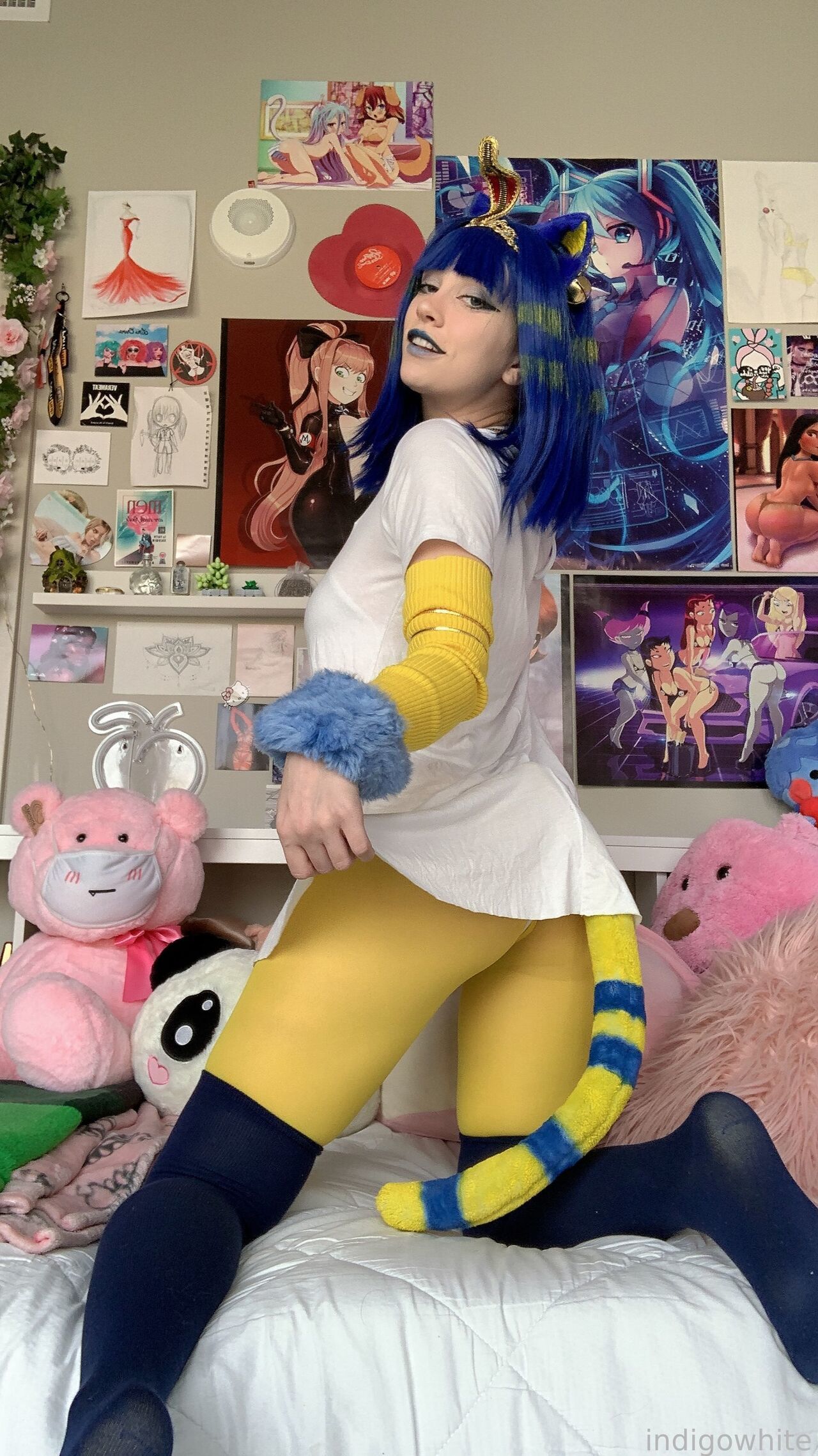 Indigo White - Ankha