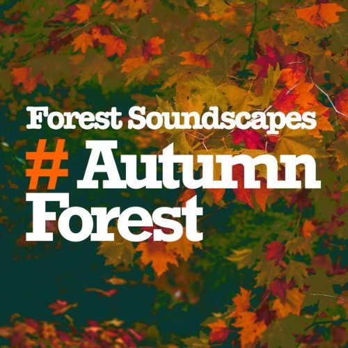 Forest Soundscapes - # Autumn Forest - 2019