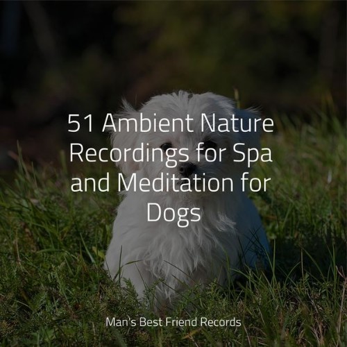 Official Pet Care Collection - 51 Ambient Nature Recordings for Spa and Meditation for Dogs - 2022