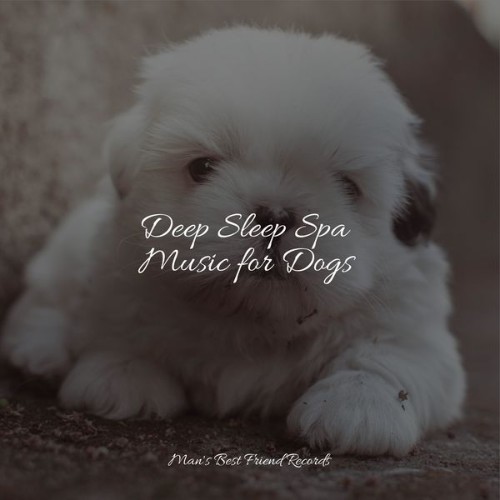 Jazz Music Therapy for Dogs - Deep Sleep Spa Music for Dogs - 2022