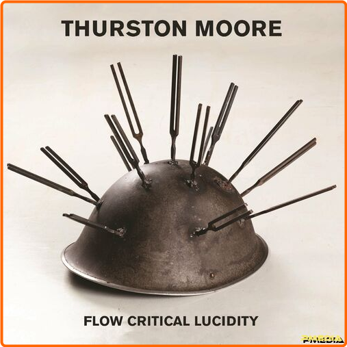 Thurston Moore Flow Critical Lucidity (2024) [320 Kbps] TNBzvzgF_o