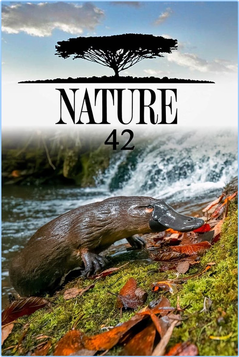 Nature S42E16 Saving The Animals Of Ukraine [1080p] (x265) IAp4ABAY_o