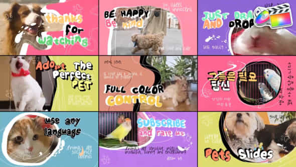 Pets Slides - VideoHive 47697230