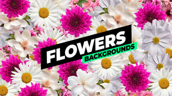 Flowers Backgrounds - VideoHive 53769754