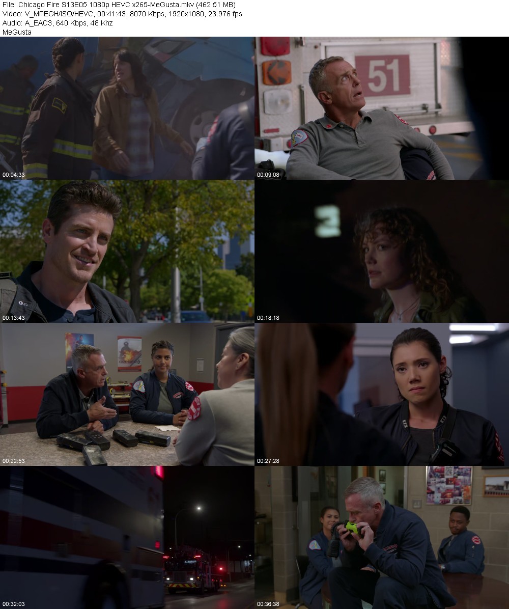 Chicago Fire S13E05 1080p HEVC x265-MeGusta